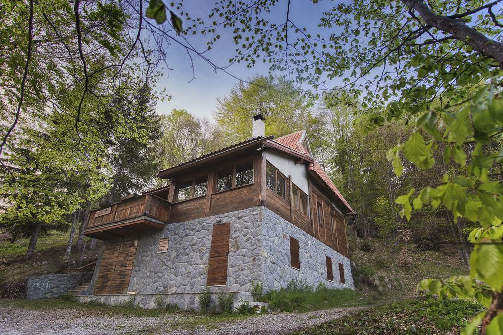 Guesthouse Sejn Копаоник Екстер'єр фото